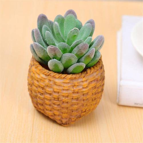 Flower Pots Storage